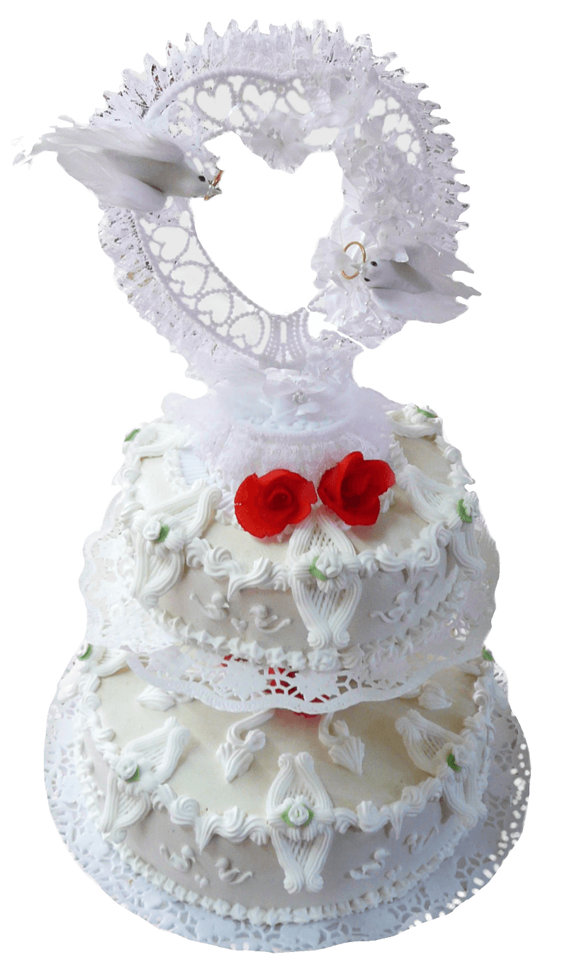 Hochzeit weiß mit Taube Hochzeit weiß mit Taube